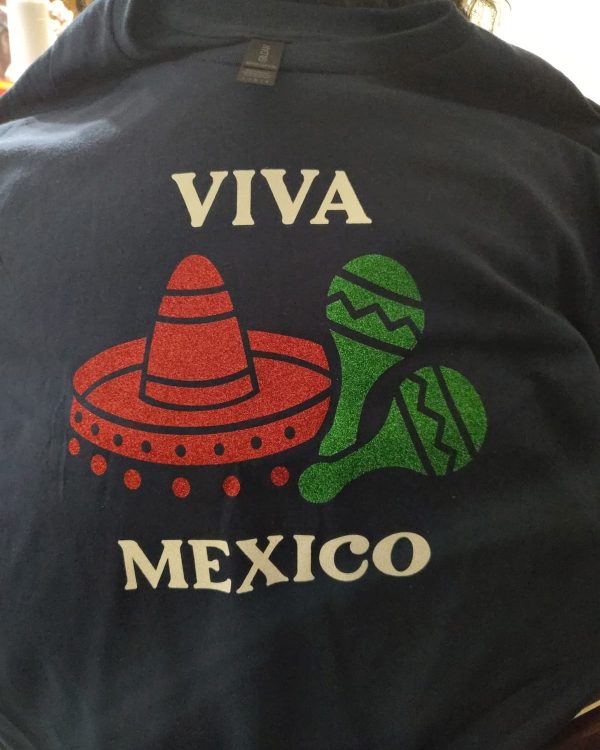 Viva Mexico Glitter Sweater